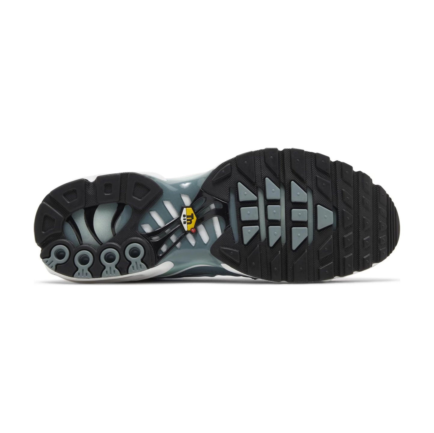 Tênis Air Max Plus 'Palm Pack - Waterway'