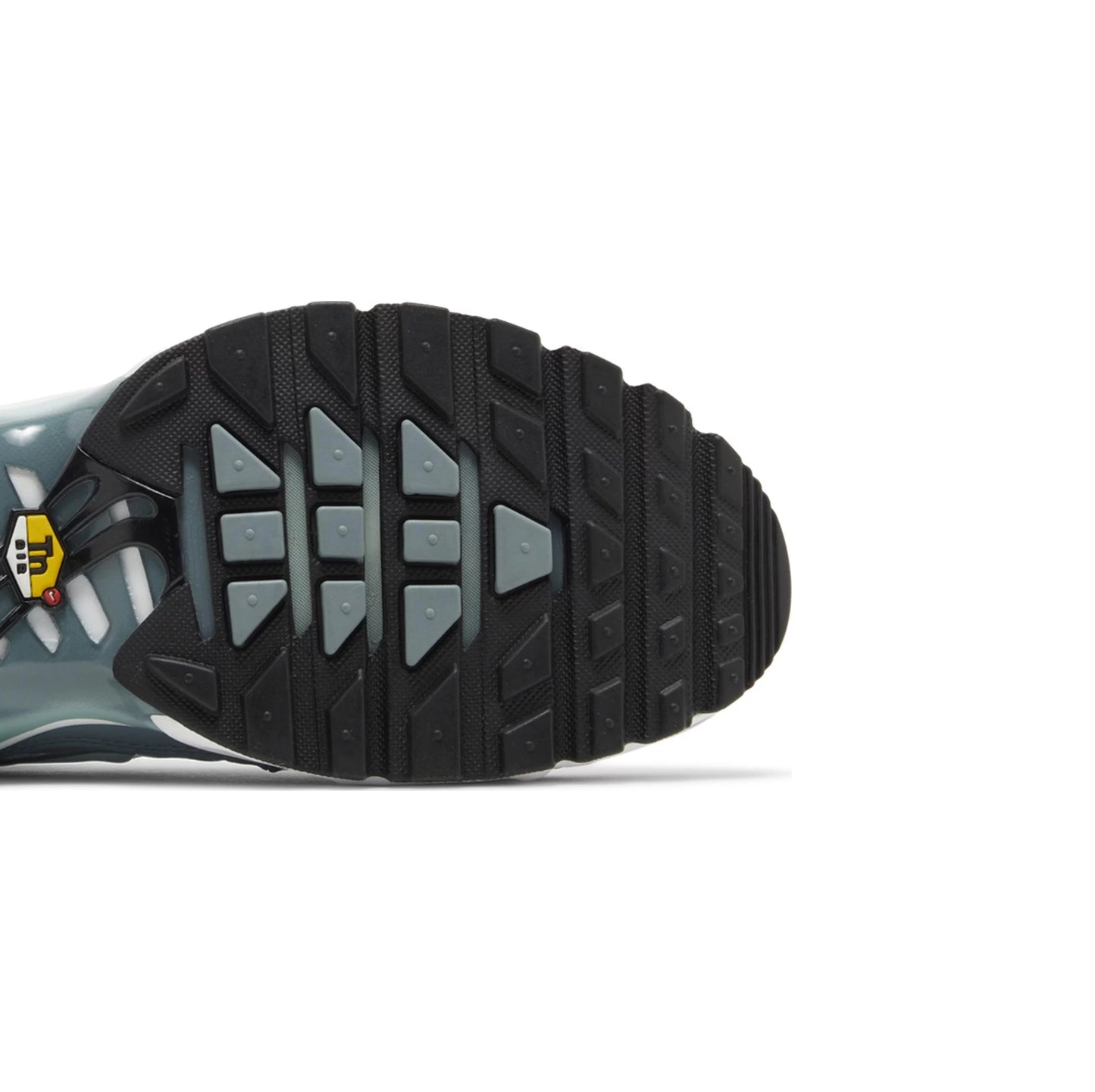 Tênis Air Max Plus 'Palm Pack - Waterway'