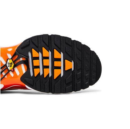 Tênis Air Max Plus 'Light Photography'