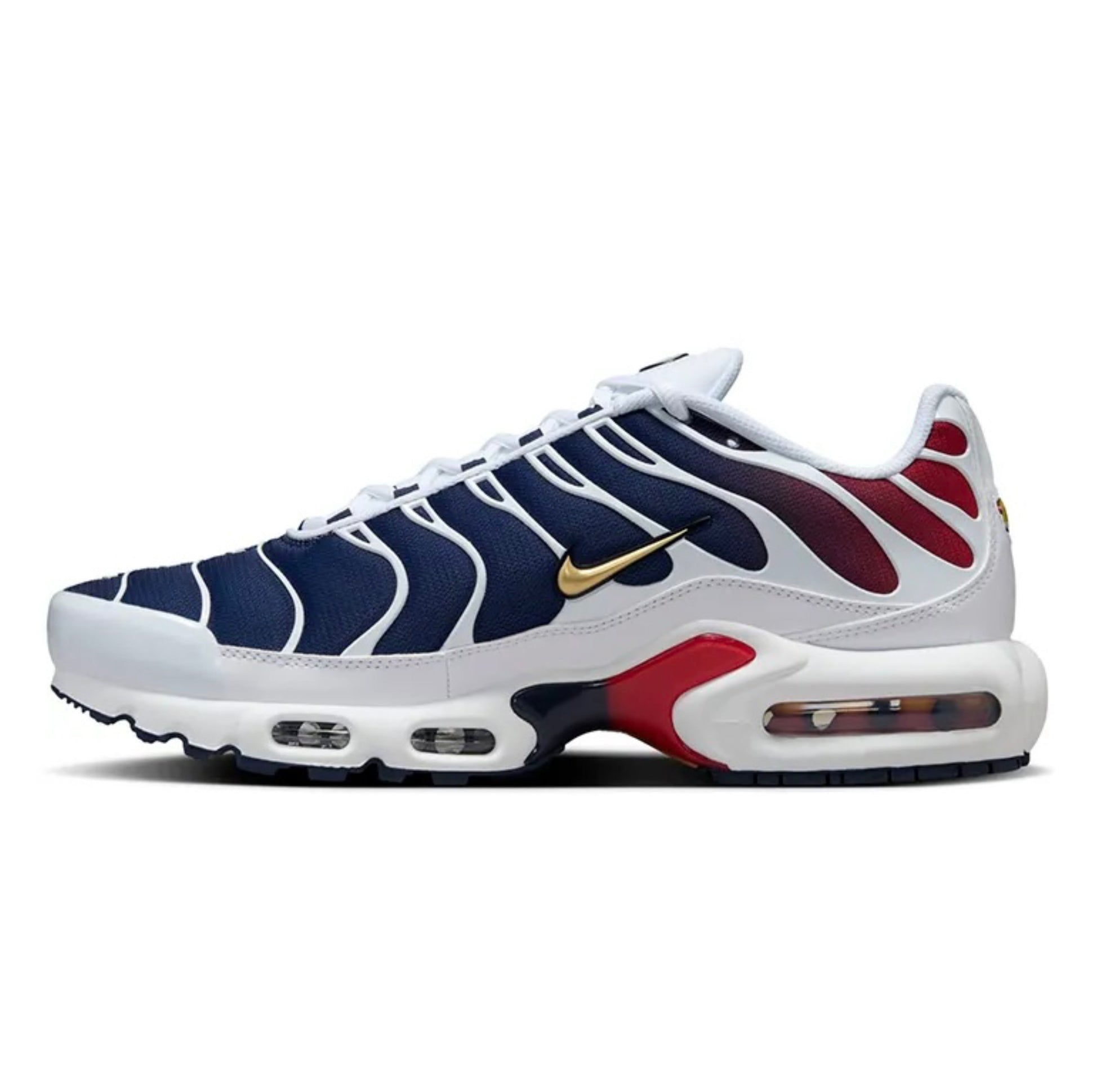 Paris Saint-Germain x Nike Air Max Plus TN