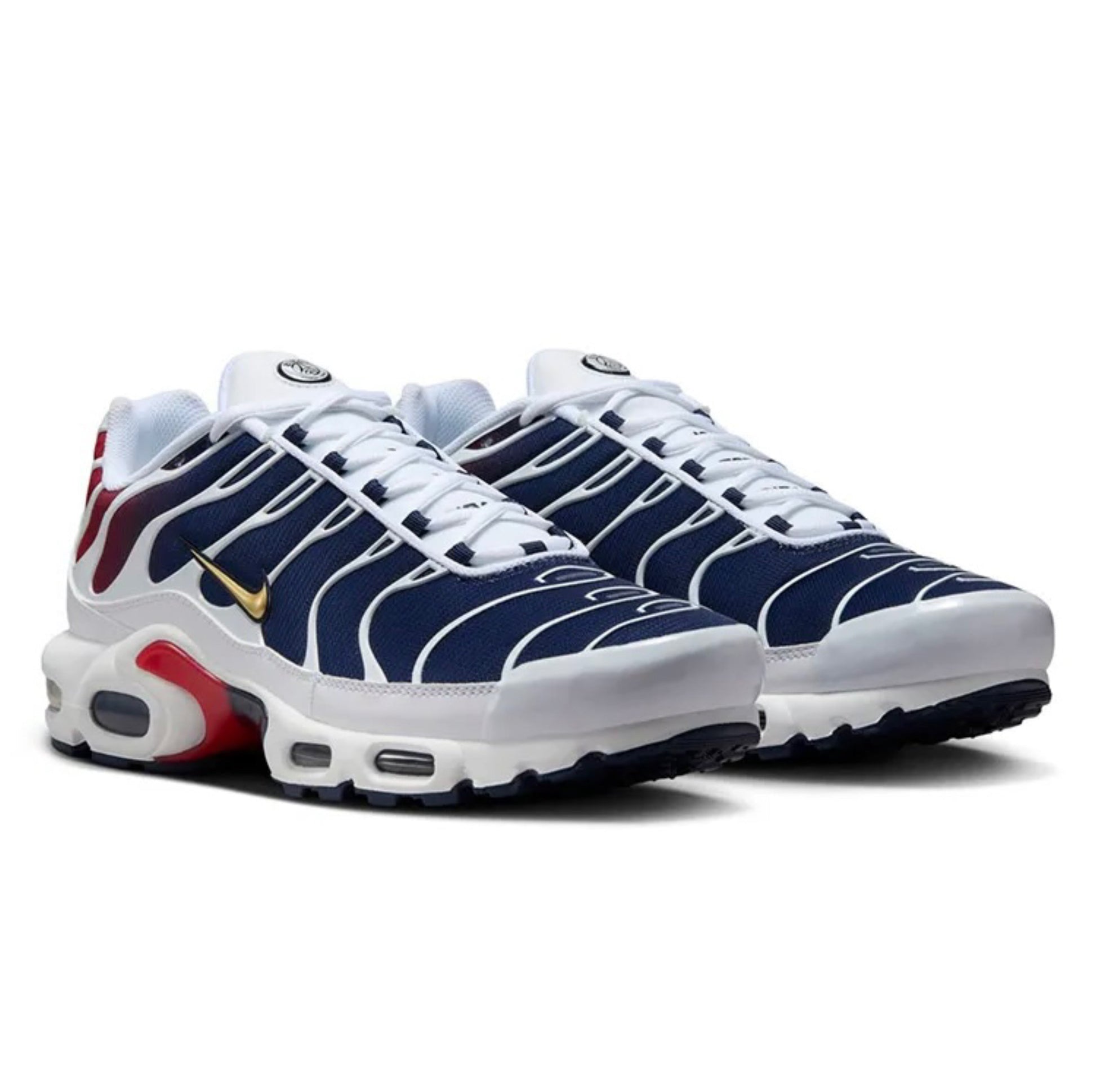 Nike Air Max Plus TN x Paris Saint-Germain 